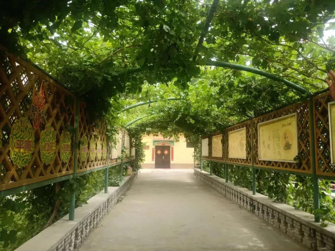 202007282236227353.jpg 202007282236227353.jpg