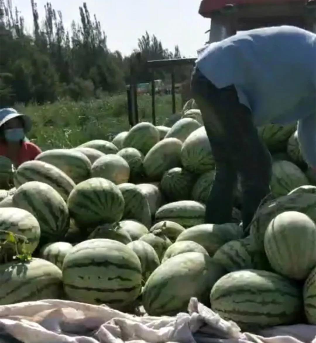 202008081907282709.jpg 202008081907282709.jpg